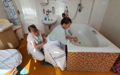 Vzdelávanie pôrodnej asistentky v Čechách a na Slovensku